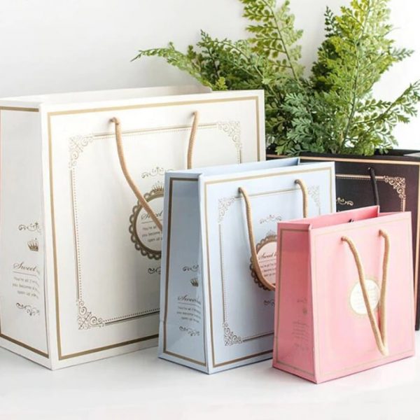 Túi giấy mẫu 2